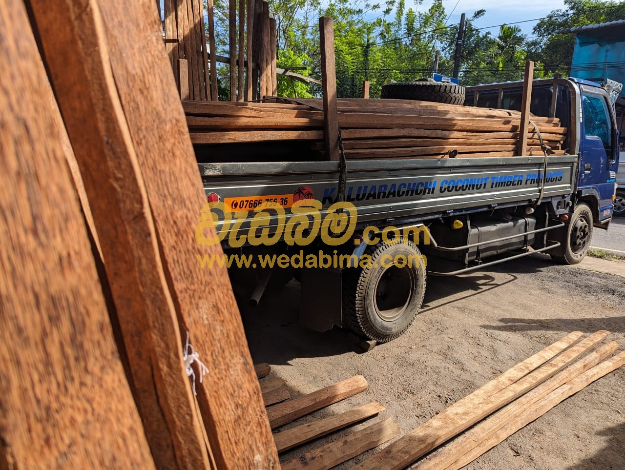 Cover image for Timber in Sri Lanka