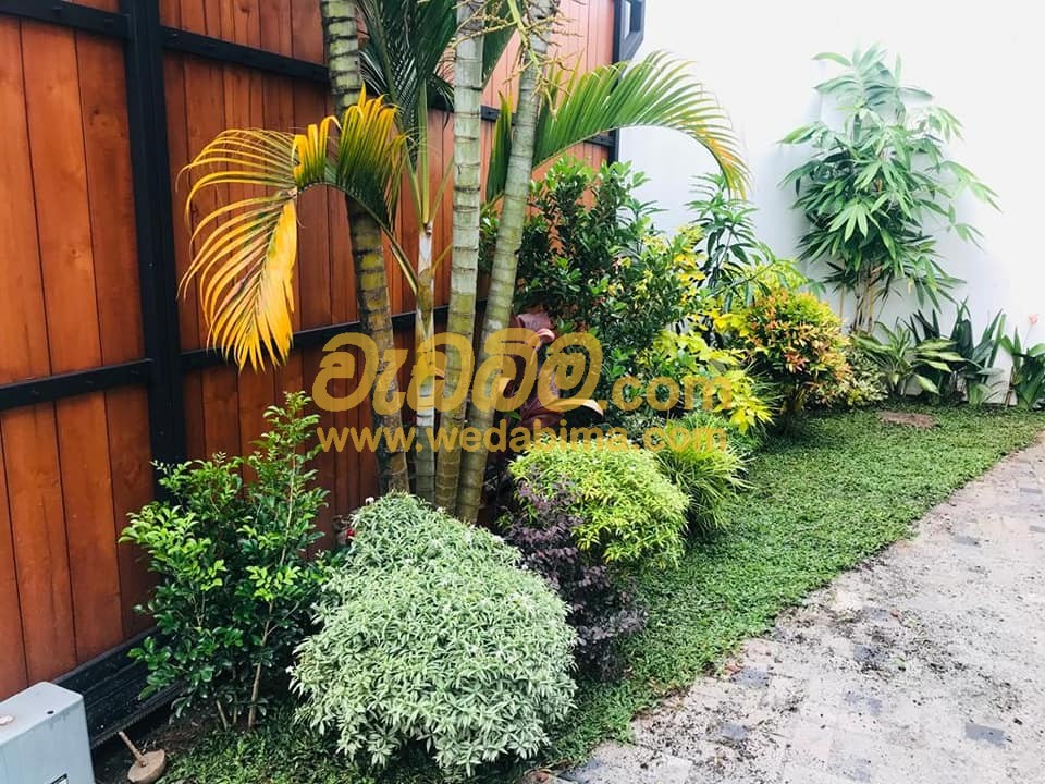 Cover image for landscaping contractors price in sri lanka