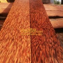 Cover image for Coconut Wood price in Sri Lanka