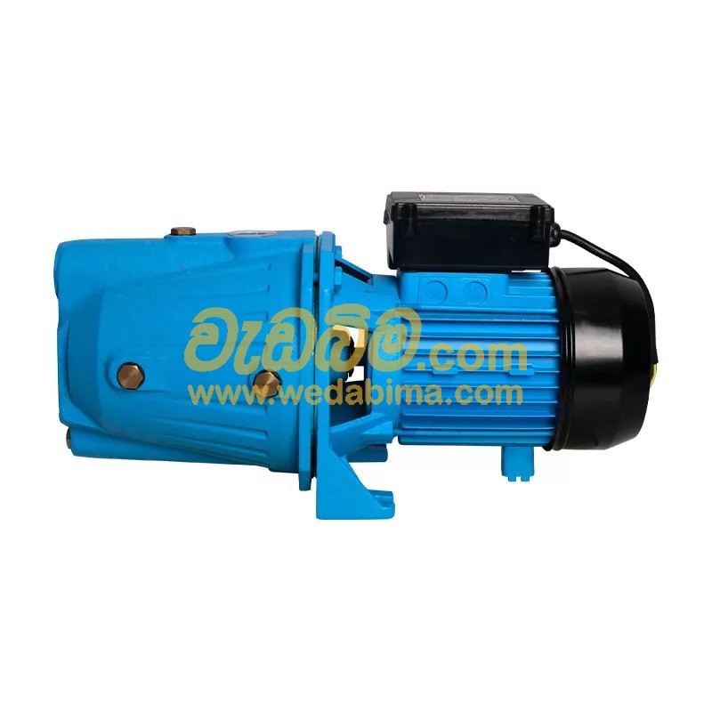 Cover image for Self Priming Electric Pump