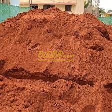 Cover image for Soil Price in Peradeniya