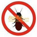 Cover image for Anti termite solution - Panadura