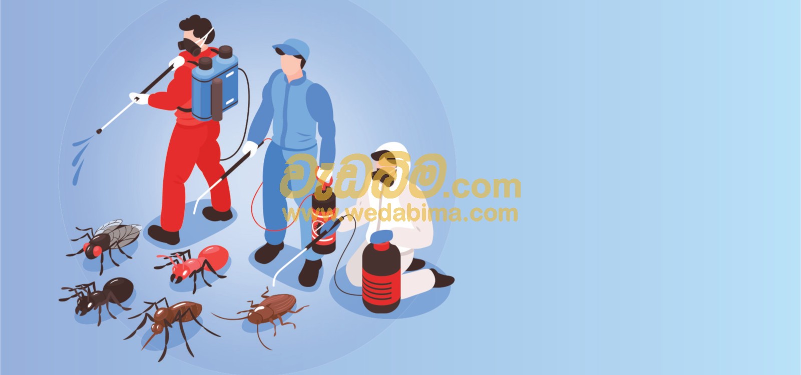 Cover image for pest control solution in sri lanka