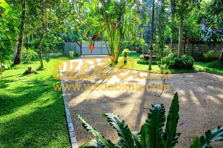 Cover image for Landscaping services in Kandy