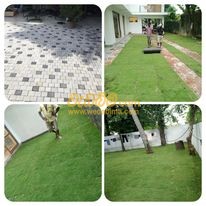 Landscape Contractors in Colombo