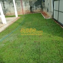 landscaping solution in sri lanka