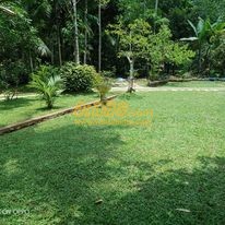 Cover image for landscaping prices in sri lanka
