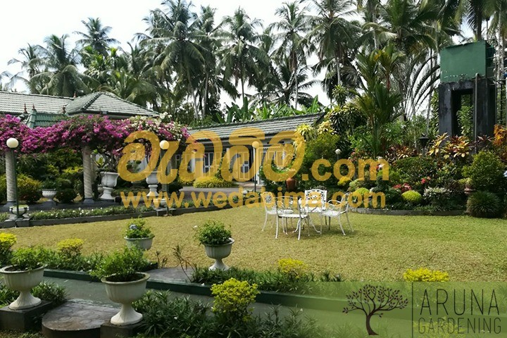 landscaping for small gardens in Colombo