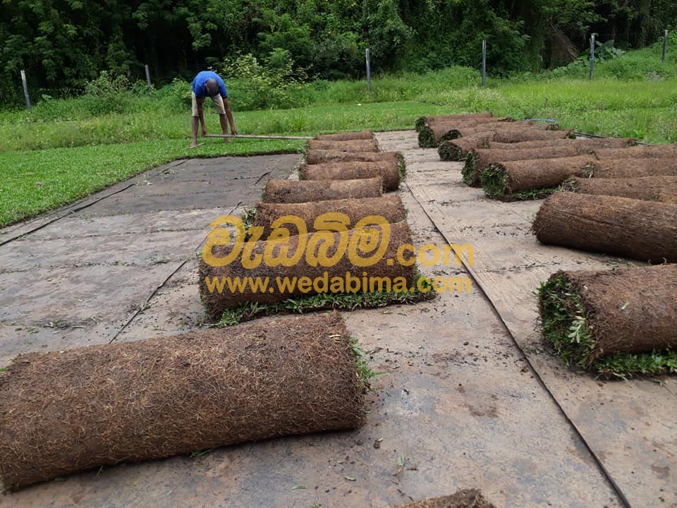 Cover image for landscaping contractors in kandy