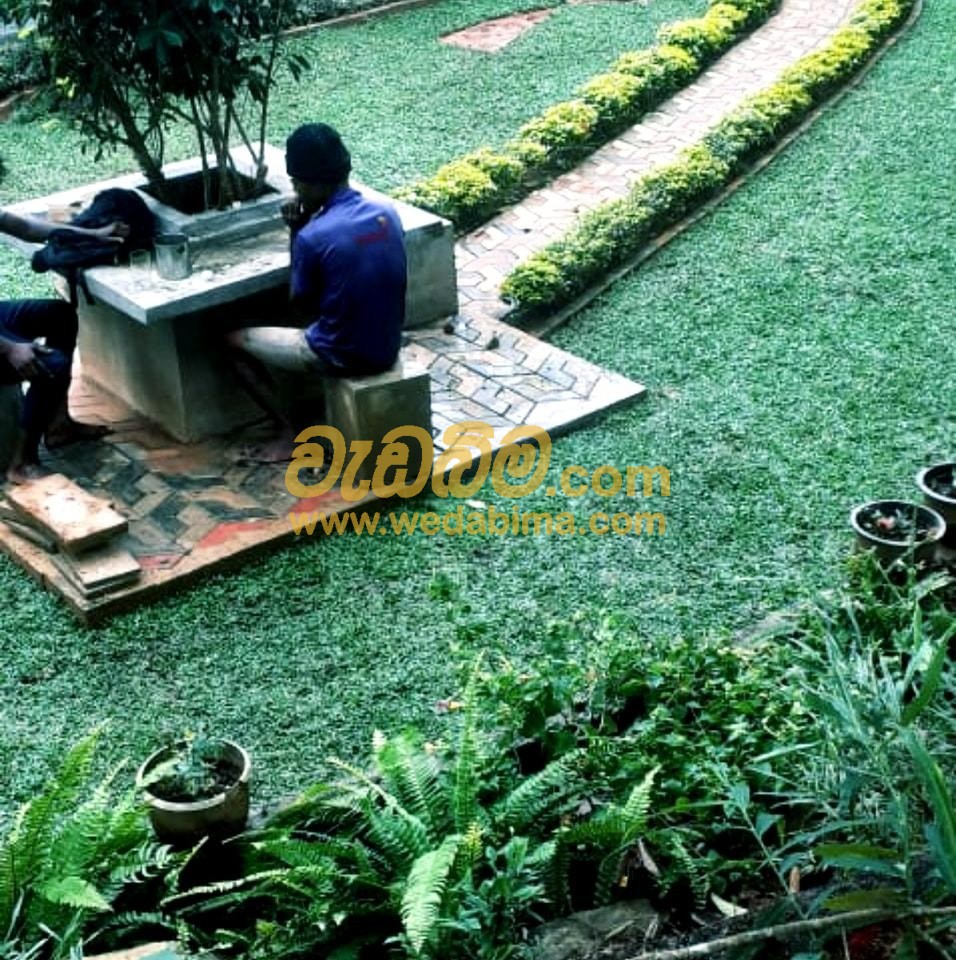 landscaping for small gardens in sri lanka