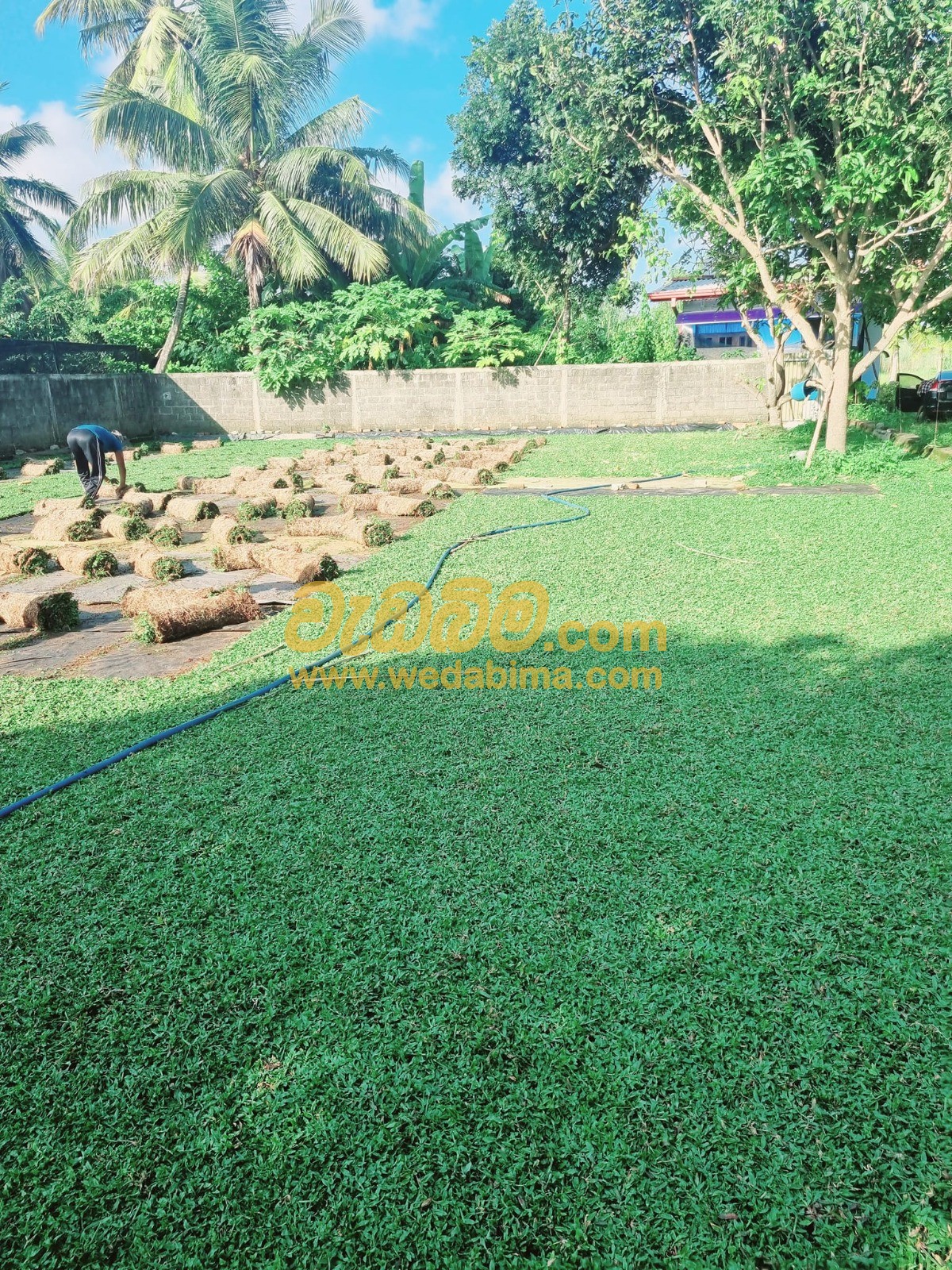Cover image for Landscaping companies in Sri Lanka
