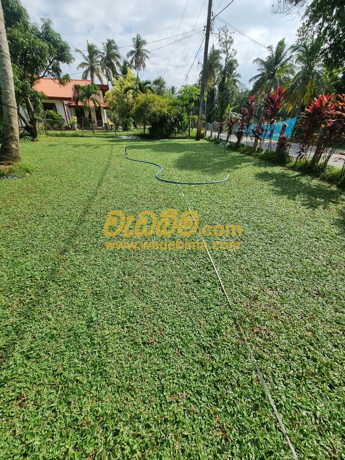 Cover image for garden maintenance services sri lanka
