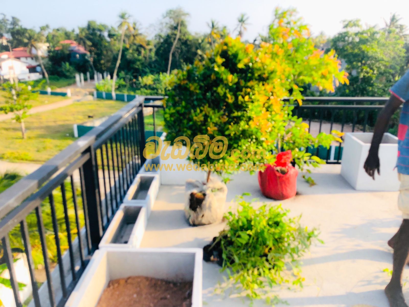 landscaping solution in sri lanka