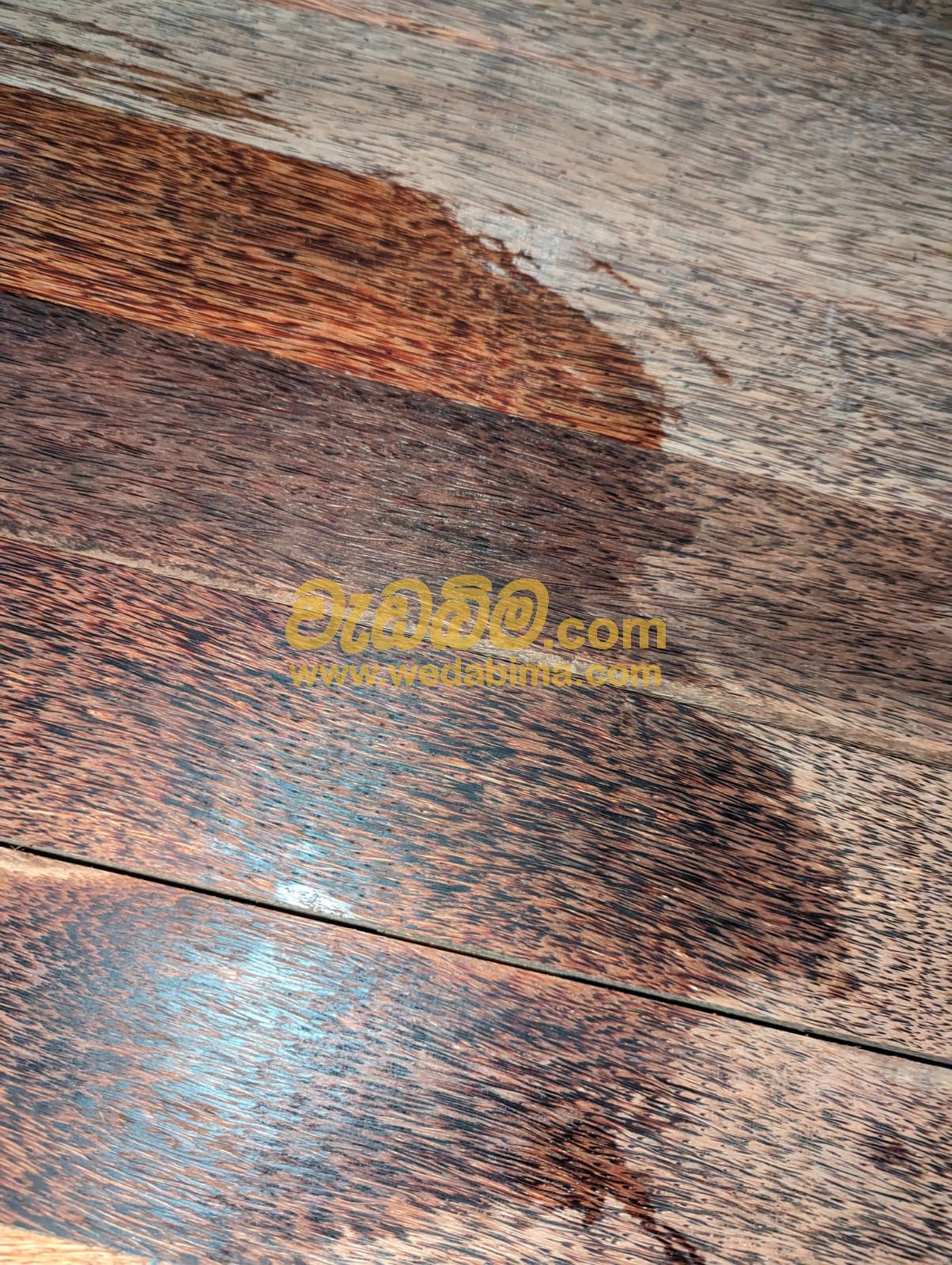 Cover image for Coconut timber in Sri Lanka