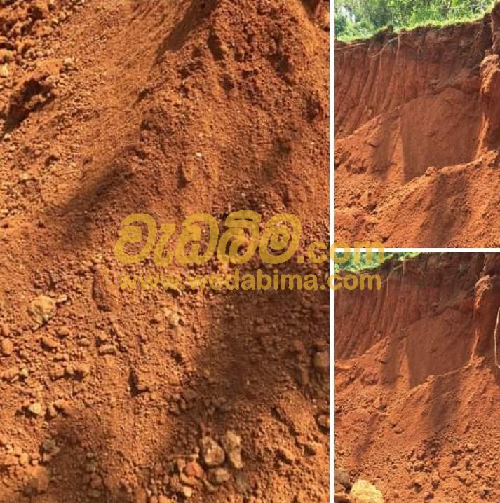Cover image for Soil Price in Colombo