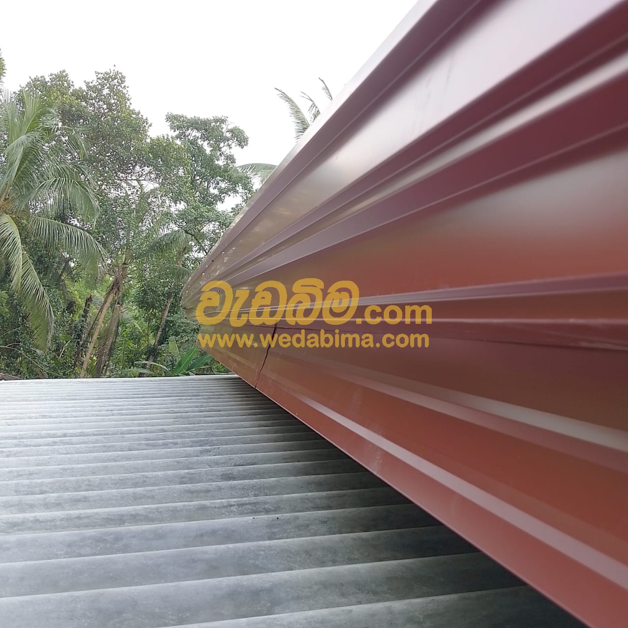 Cover image for Amano Gutters Price In Sri Lanka