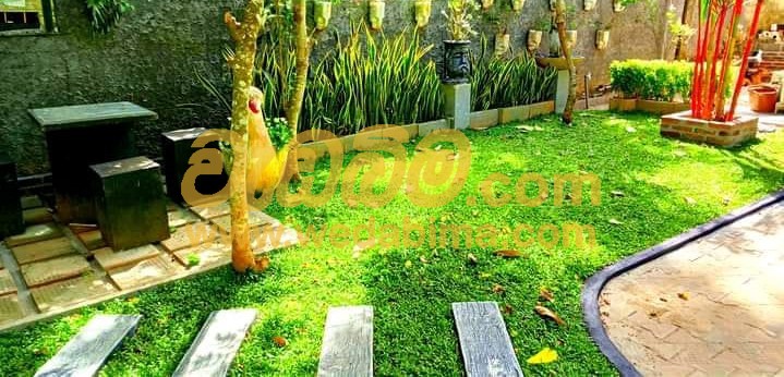 Garden Services Price In Colombo