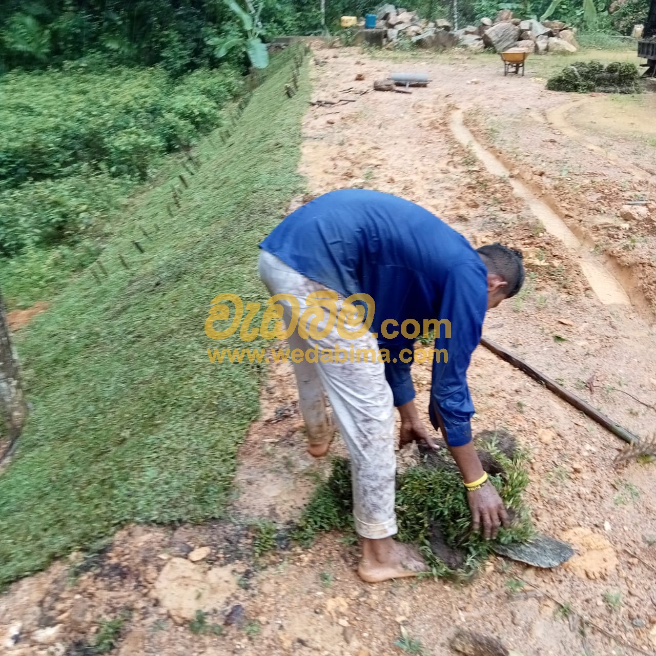 Cover image for Landscaping Contractors In Colombo