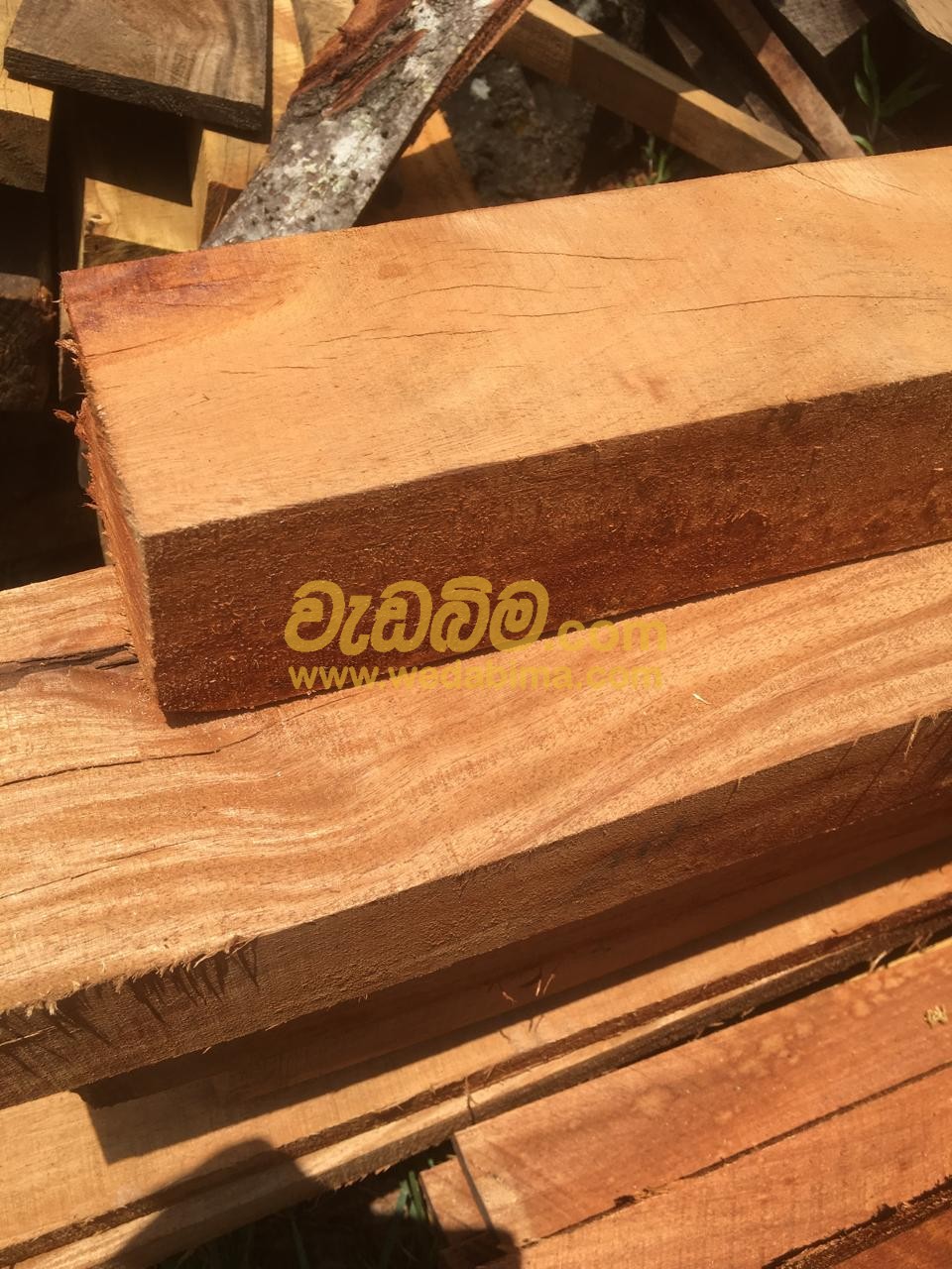 Cover image for Teak Wood Price in Srilanka