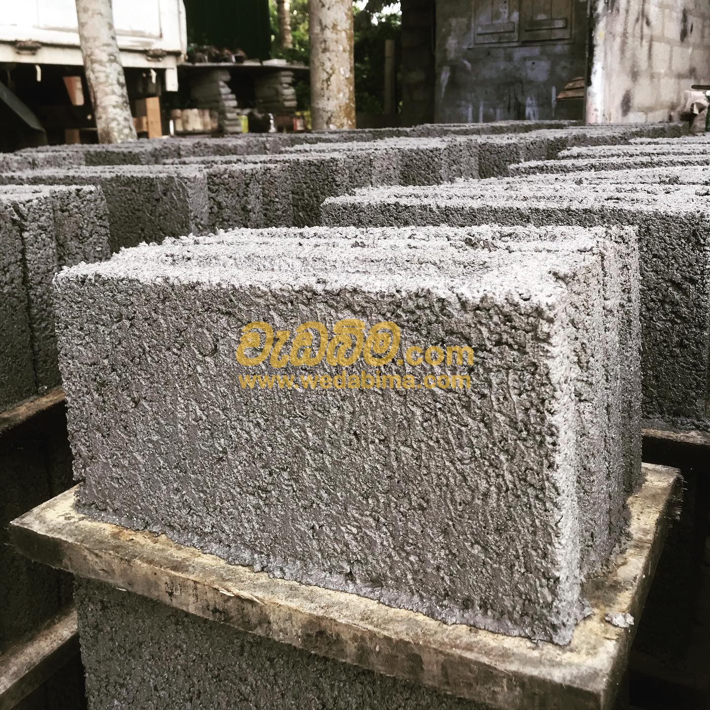 Cover image for Cement Block Price - Kandy