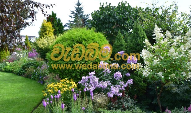 Cover image for Landscape and Garden designers Sri Lanka