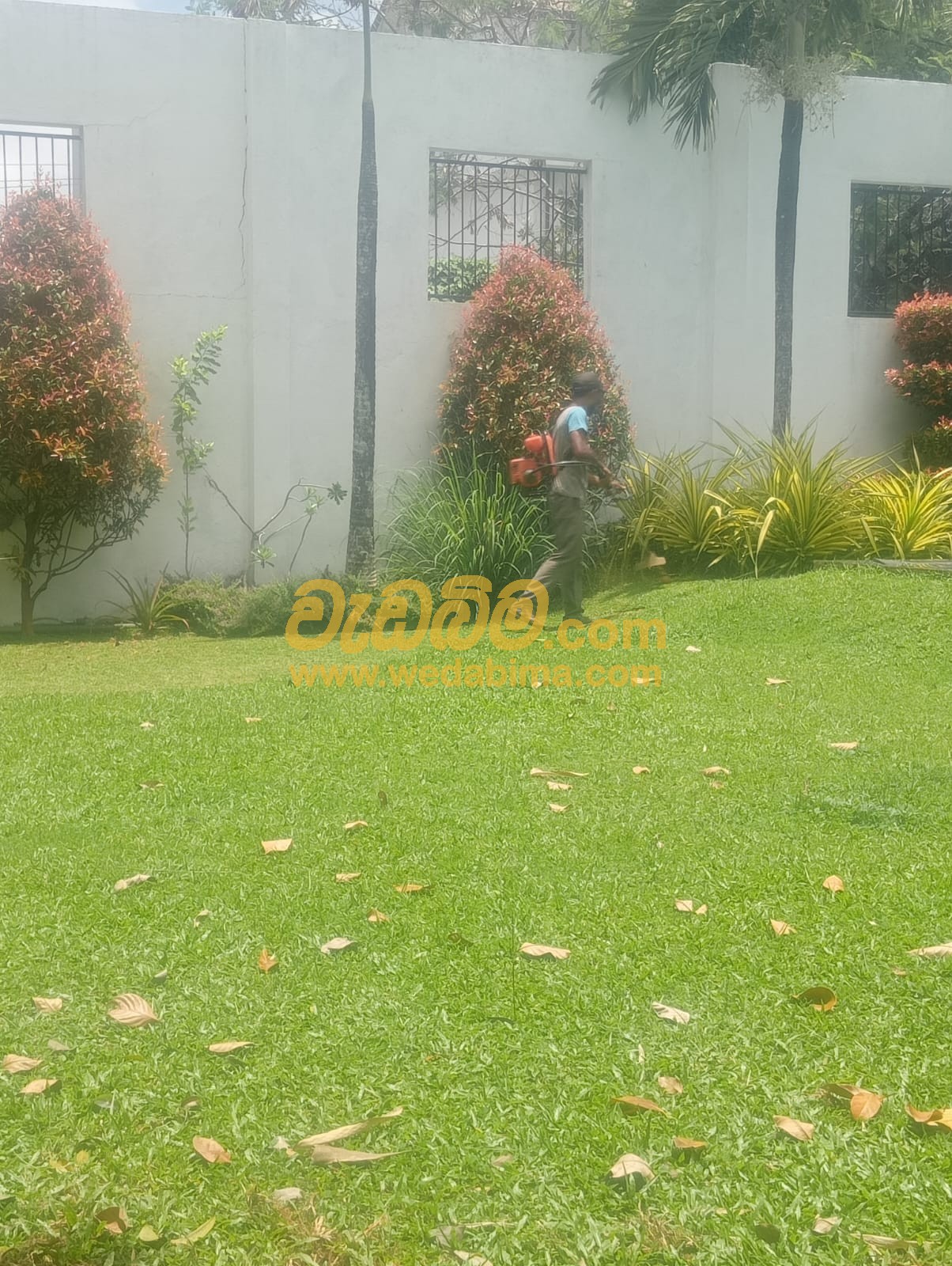 Cover image for Landscaping companies in Gampaha