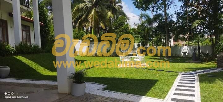 Cover image for Landscaping services price in Gampaha