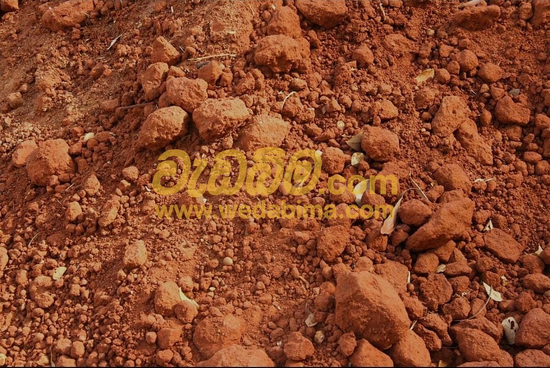 Cover image for Red Soil Price in Colombo