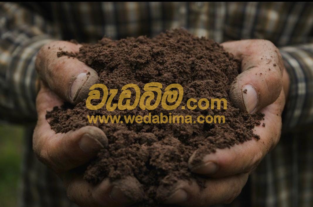 Cover image for Soil Supplier in colombo