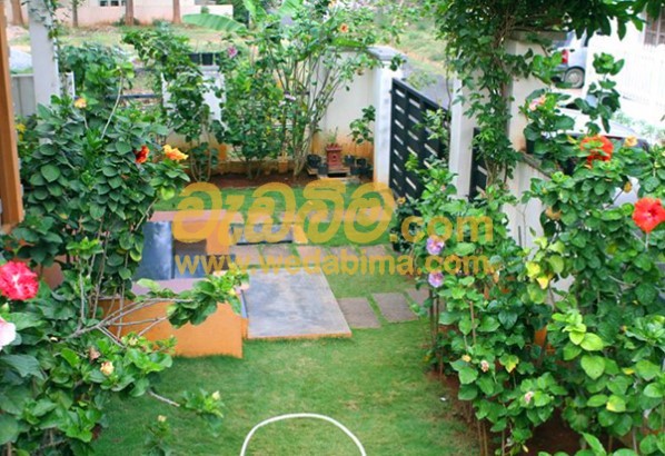 Cover image for landscaping solution in sri lanka