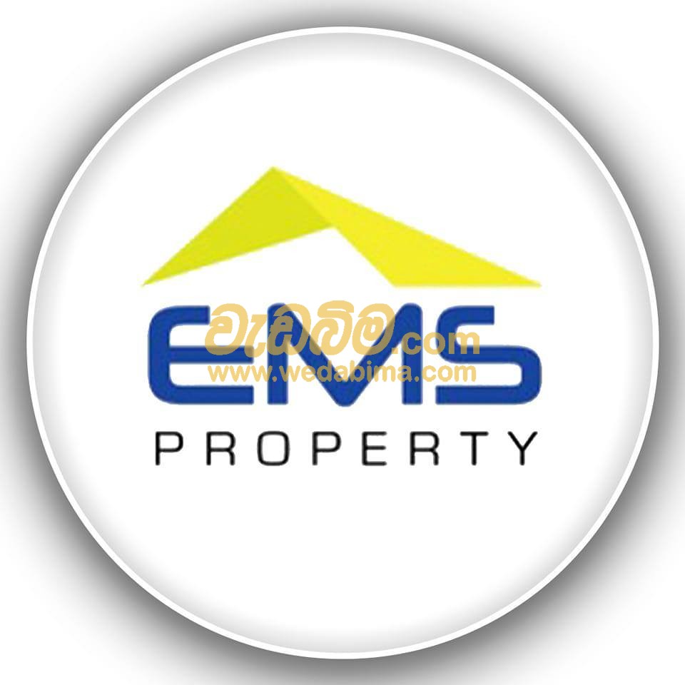 Cover image for EMS Property