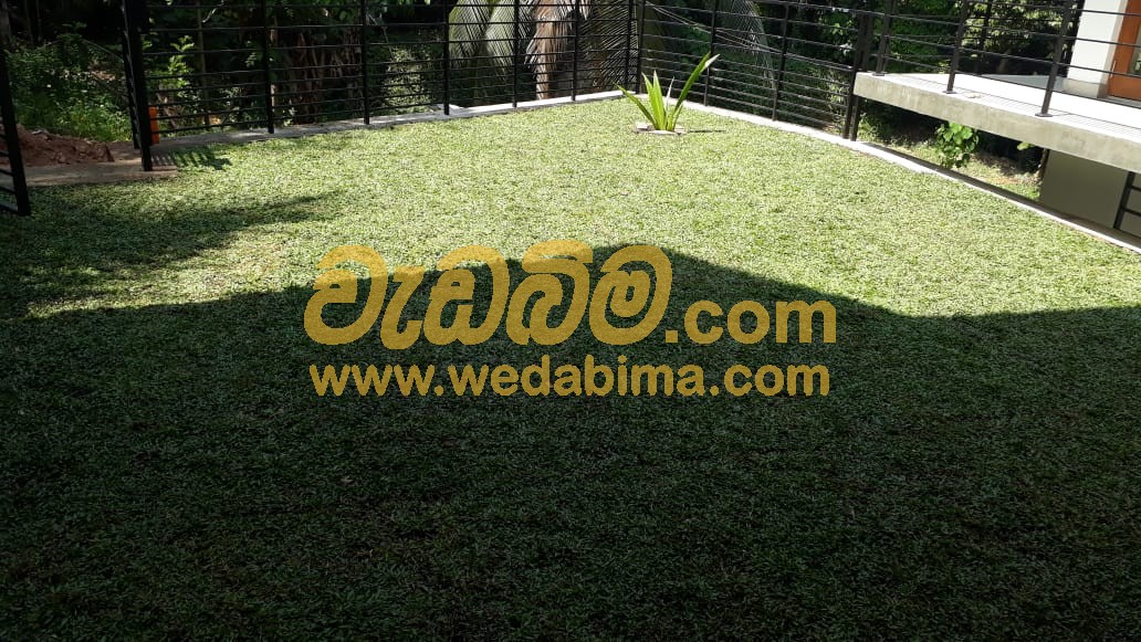 Cover image for Landscape and Garden designers Sri Lanka