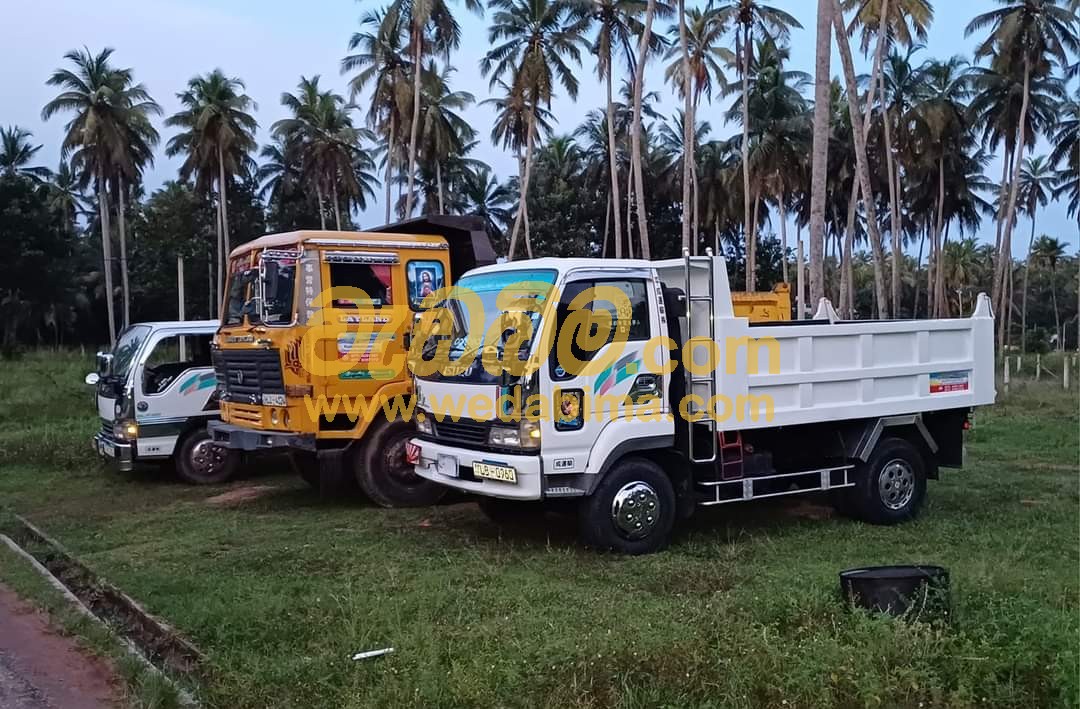 Cover image for Lorry Transport Colombo