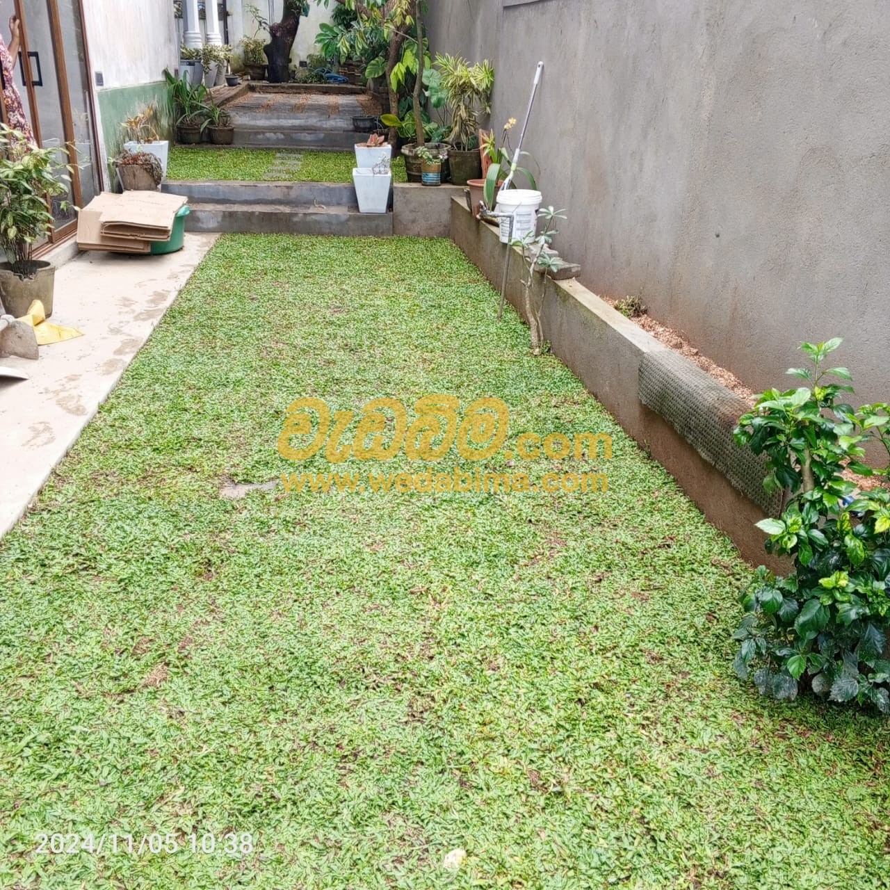 australian grass suppliers and services in Sri Lanka