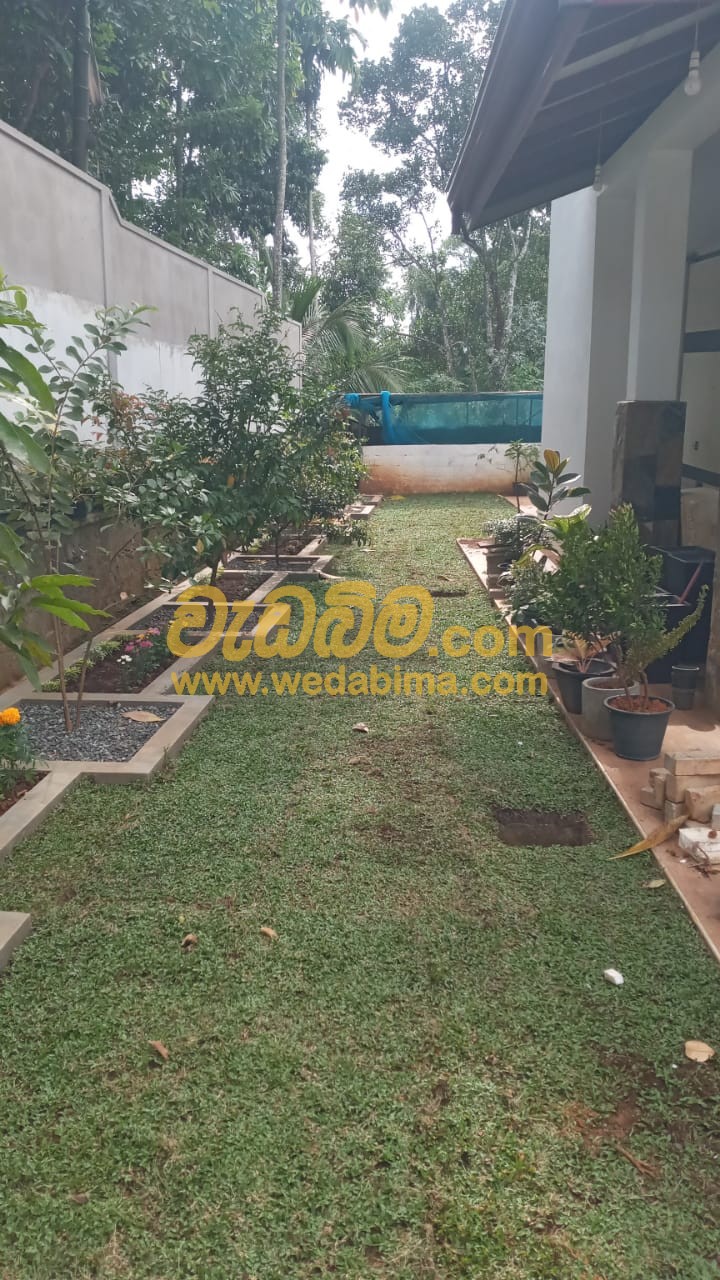 Cover image for landscaping solution in Pothukoladeniya