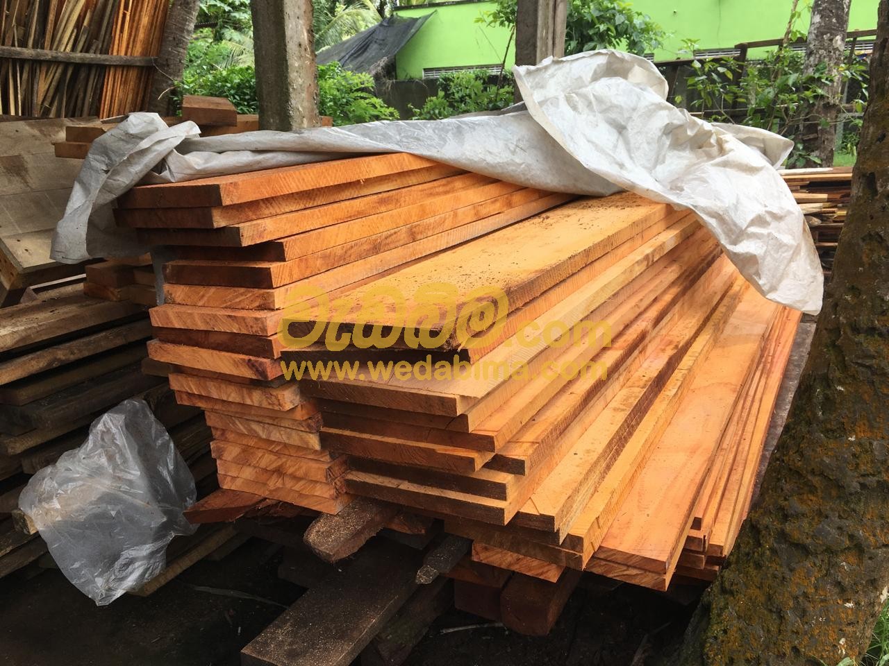 Attonia Wood price in gampaha