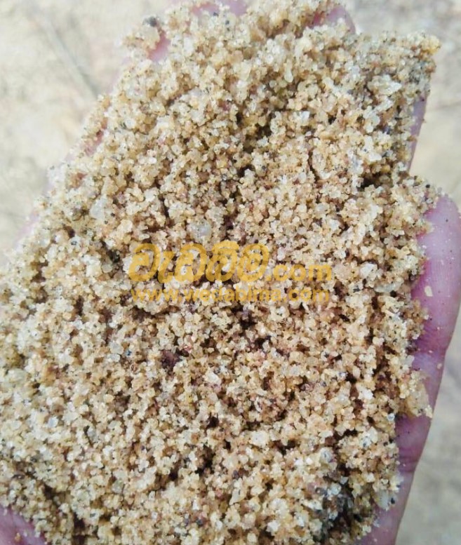 Sand for Sale at Best Price in Padukka