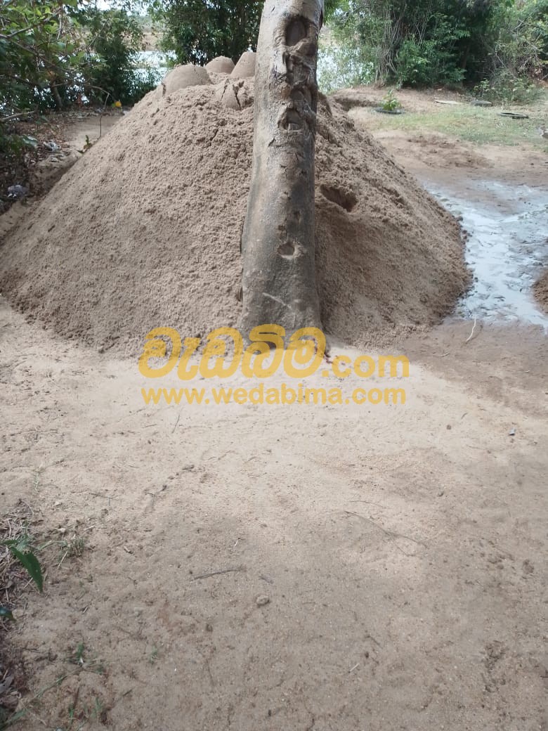 sand cube price in sri lanka