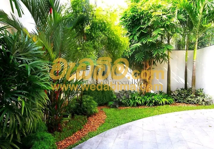 Garden Maintenance Services in Sri Lanka