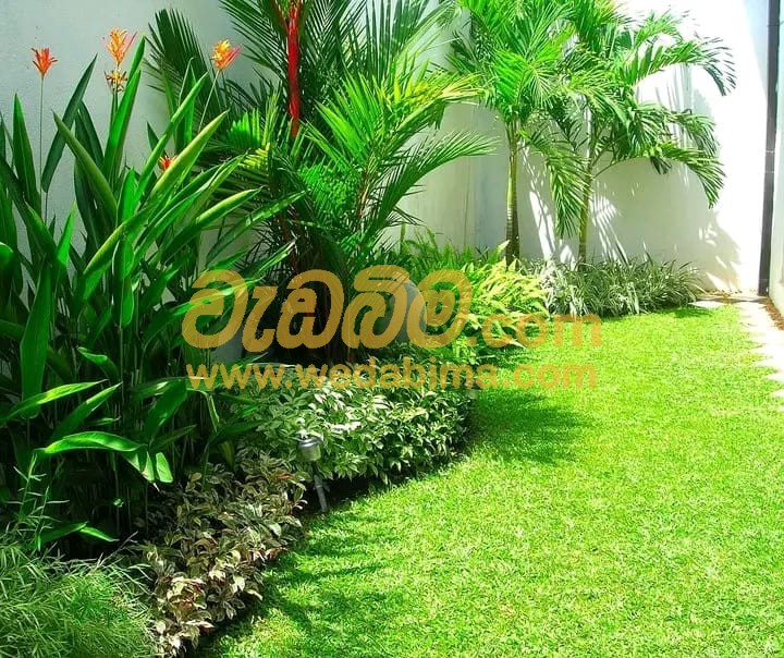 Cover image for Landscaping Ideas Sri Lanka