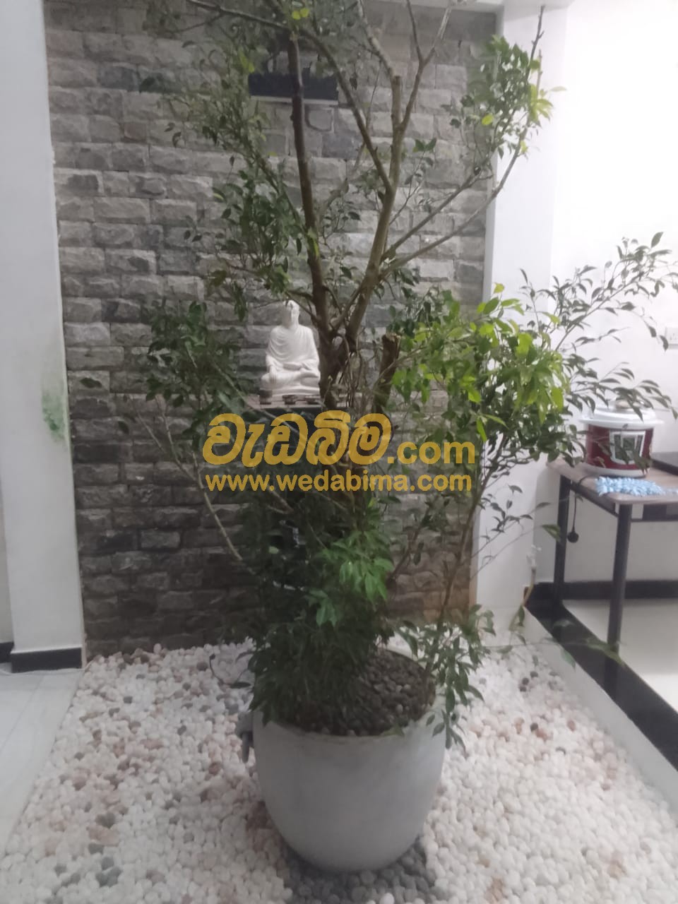 Landscaping services in Sri Lanka