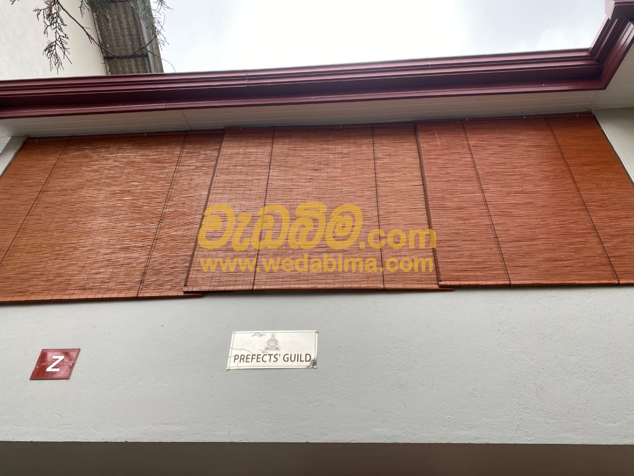 Cover image for Bata palali price in bandaragama