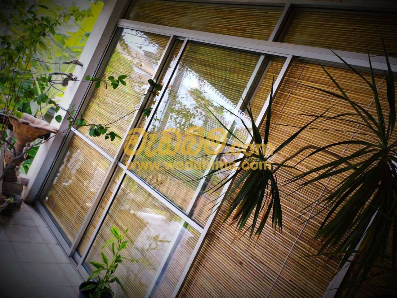 Bamboo Blinds Gampaha colombo