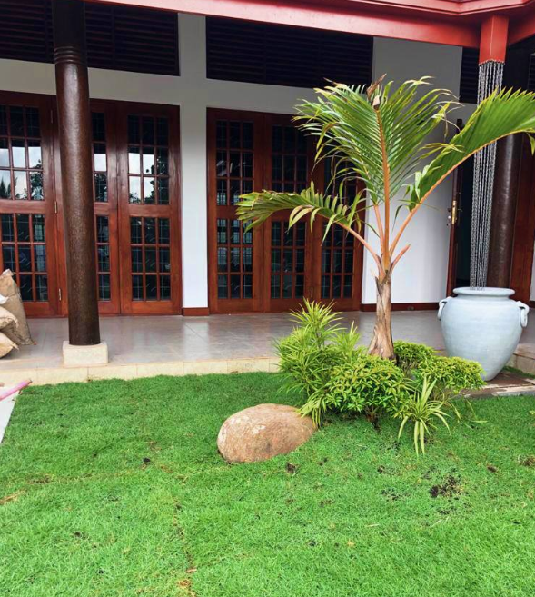 Landscaping and garden services price in peradeniya
