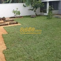 Landscaping services in Sri Lanka