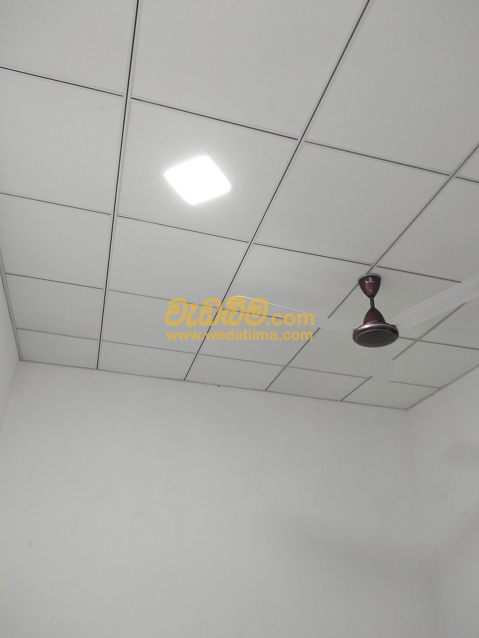 Cover image for Indoor ceiling