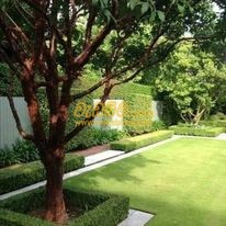 Garden services in Colombo