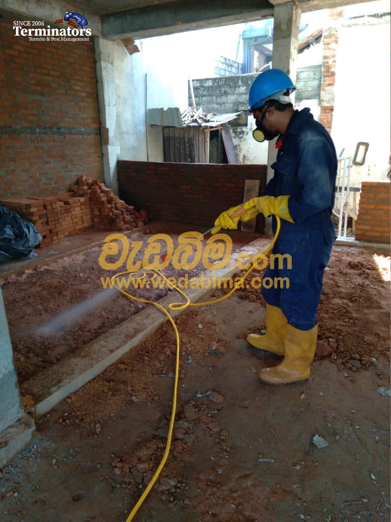 anti termite treatment contractors in sri lanka