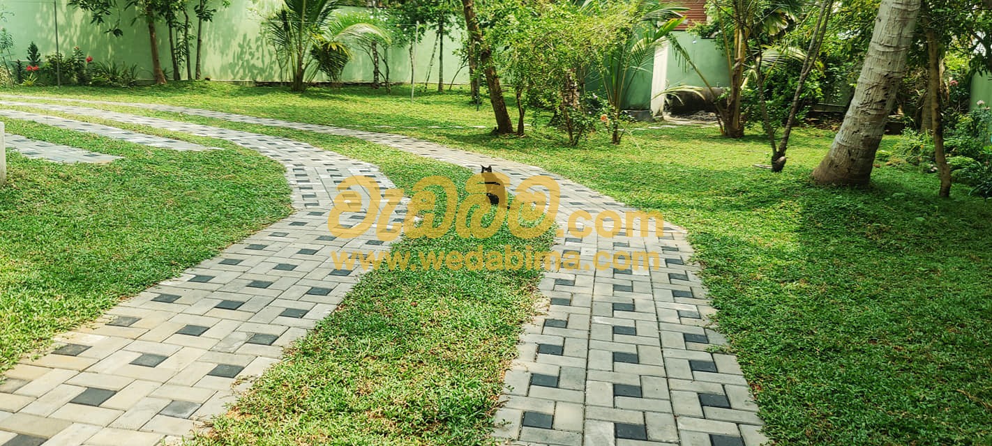 Cover image for landscaping solution in sri lanka