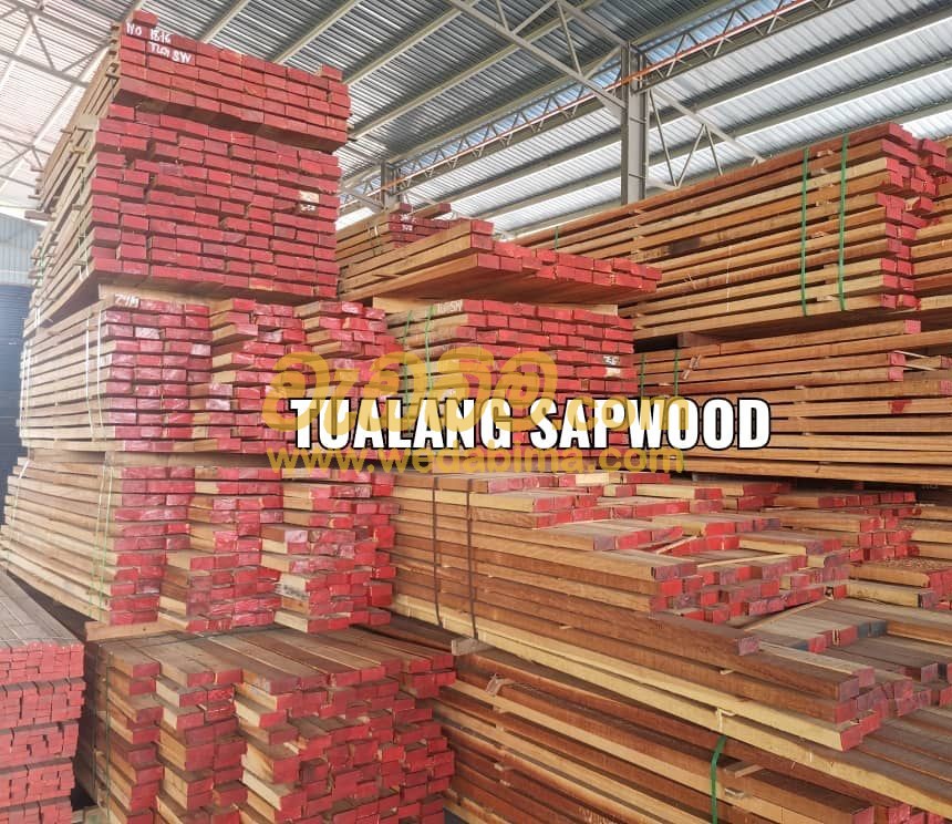 Cover image for Tualang wood